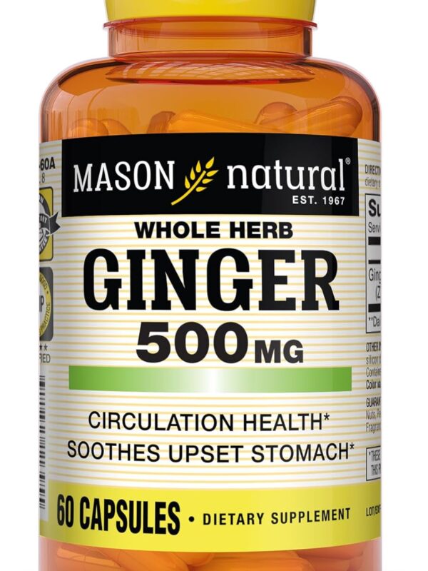 MASON NATURAL Whole Herb Ginger In Pakistan