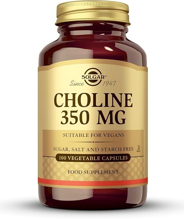 Solgar Choline 350 mg