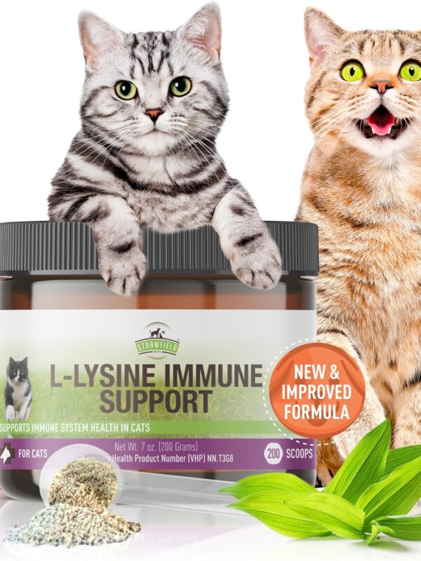 Strawfield Pets L-Lysine Immune Support in pakistan